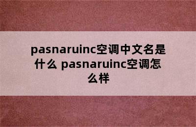 pasnaruinc空调中文名是什么 pasnaruinc空调怎么样